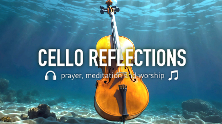 Cello Reflections